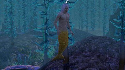 ���� 3 ������� �������