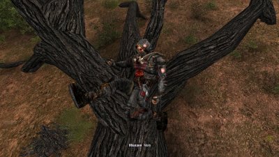 ������� NLC 7 � ��������