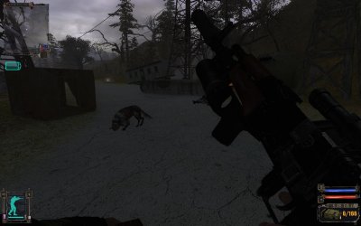 ������� �������� 2016 - 2017