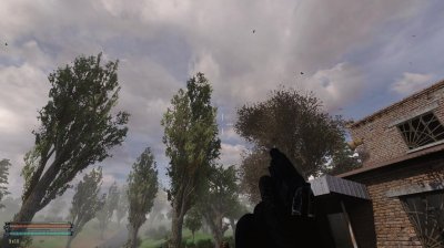 ������� ��������� ������� 2016 - 2017