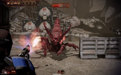 ���� ������ ��������