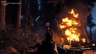 ��� ���� 5 ��������