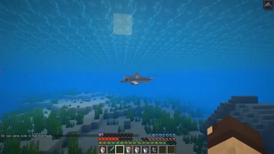 ��������� 1.13