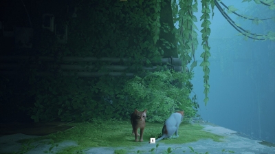 Stray ��������� ������